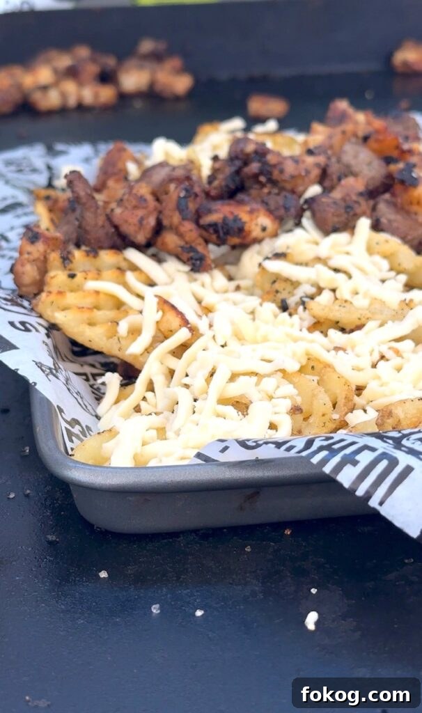Blackstone Loaded Hibachi Fries