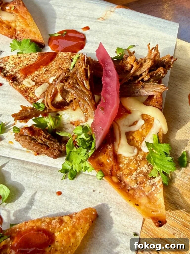 Blackstone Birria Wonton Nachos