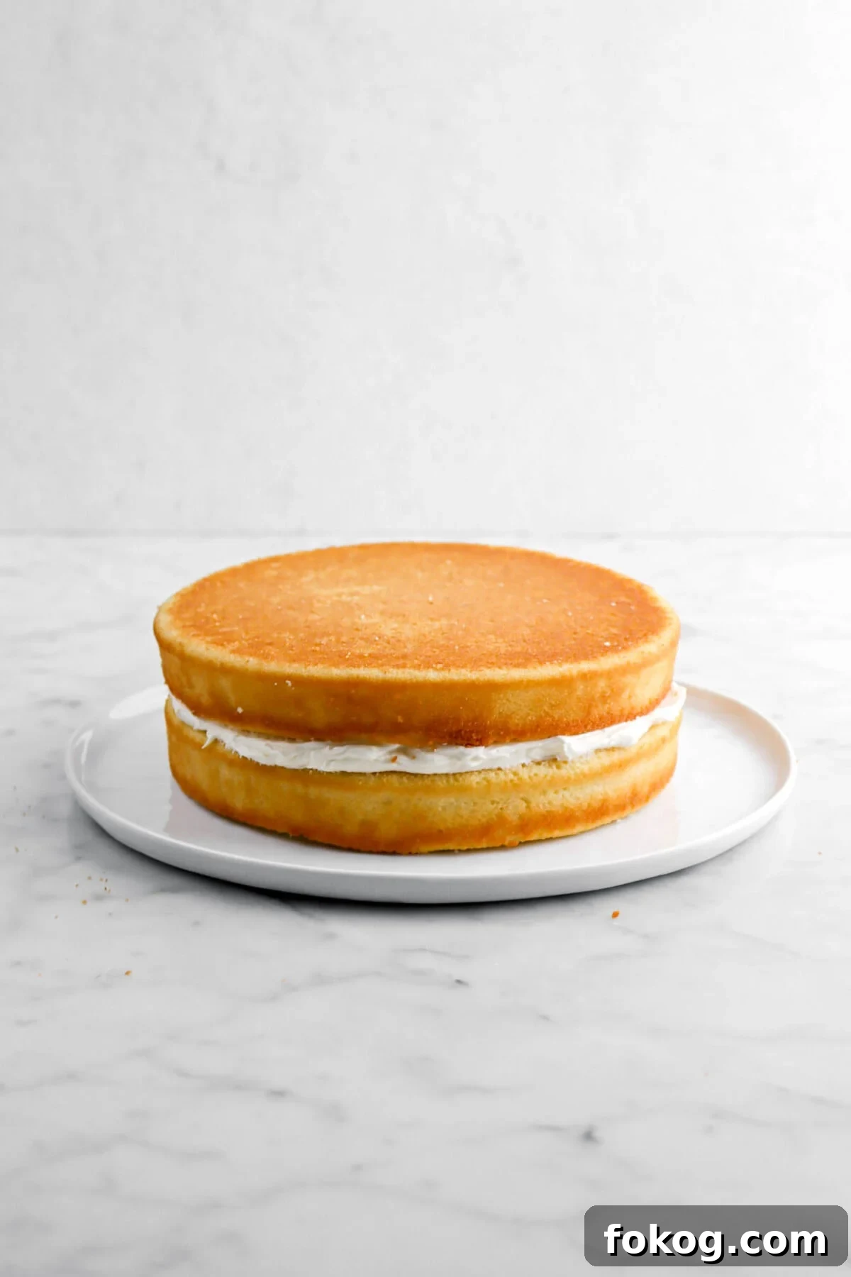 Classic Vanilla Cake with Smooth Buttercream Frosting 16 second layer of cake added on top of frosting layer.