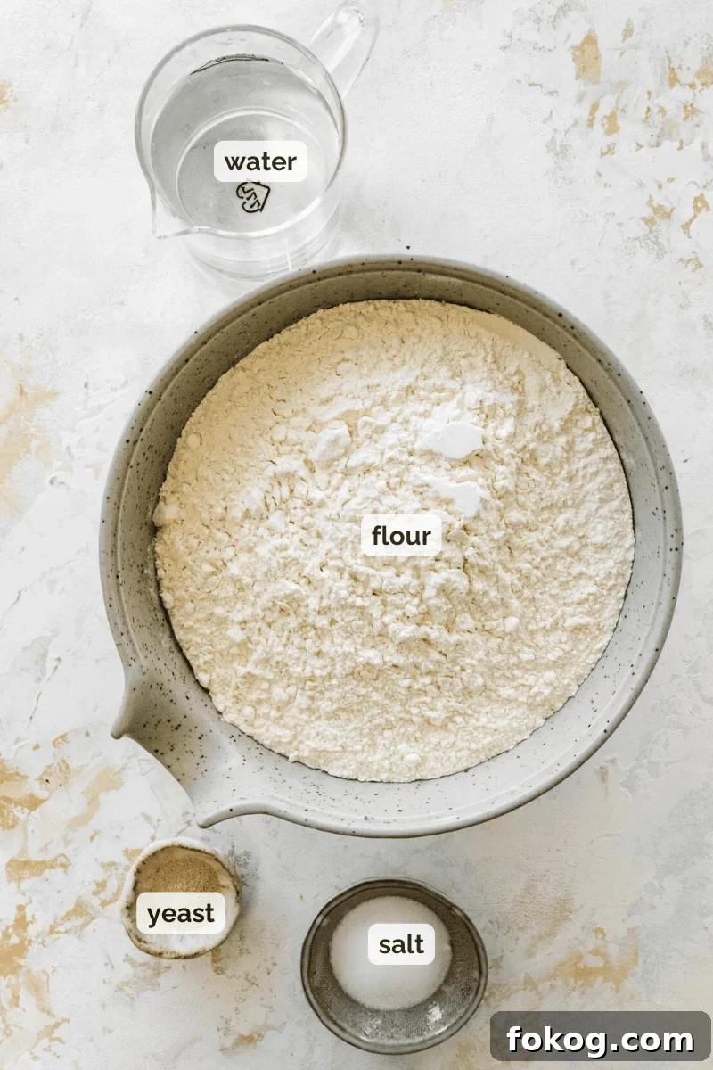 Recipe ingredients for authentic Neapolitan pizza dough recipe.