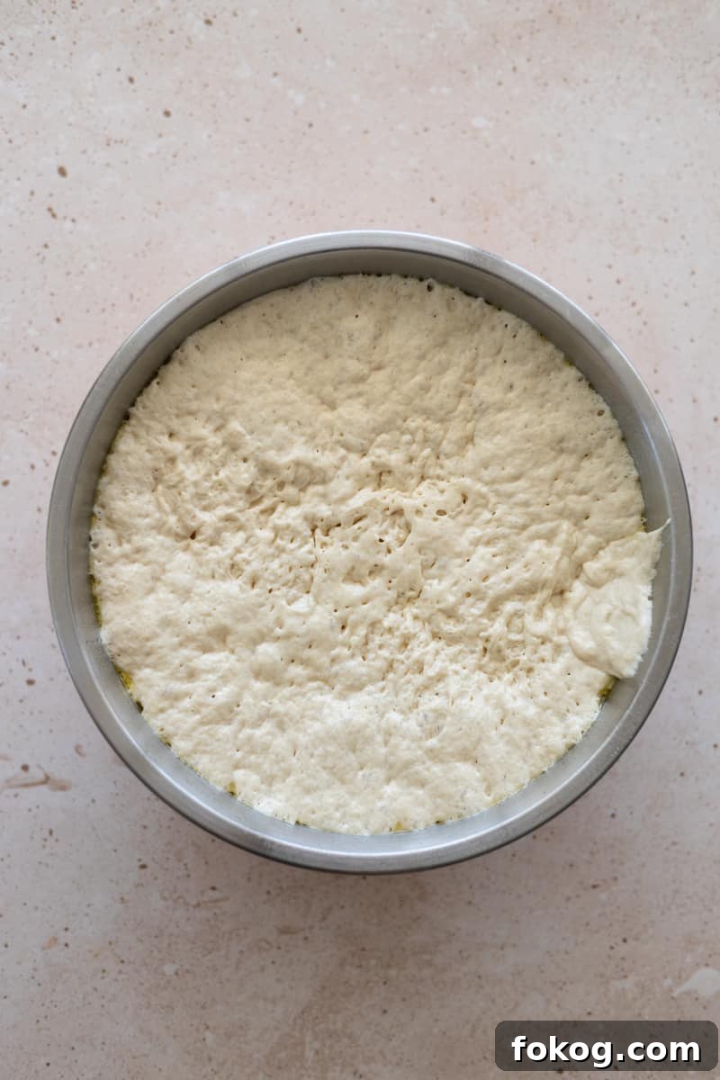 Focaccia dough rising in a large bowl. 