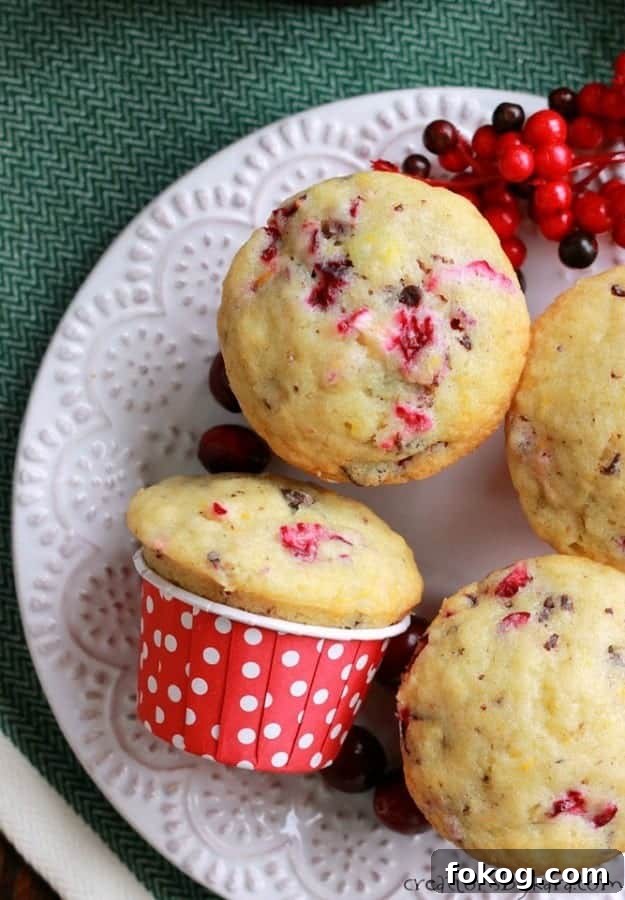 Chocolate chip cranberry muffins are soft, tender, and bursting with flavor! They are perfect for breakfast, brunch, or snacking, especially during the holidays. plate of chocolate chip cranberry muffins