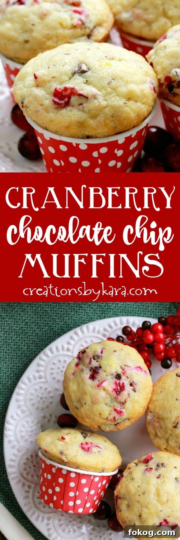 These Cranberry Chocolate Chip Muffins are moist and delicious. A perfect holiday muffin recipe. cho