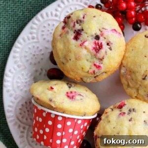 These chocolate chip cranberry muffins are bursting with flavor! A perfect muffin recipe for the holiday season.