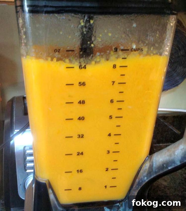 Carrot, Ginger & Apple Soup , in the blender Carrot, Ginger & Apple Soup, in the blender