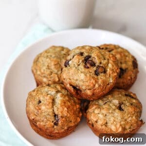 A plate with sourdough banana oat muffins with chocolate chips.