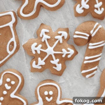 Cutout gingerbread cookeis iced with white outlines.