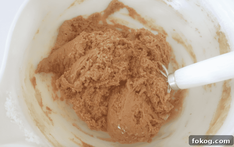 gingerbread cookie dough in mixing bowl