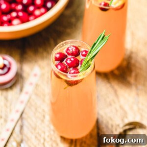 Cranberry Mimosa Recipe: Sparkling Brunch Cocktail Guide 2 Cranberry Mimosa featured image.