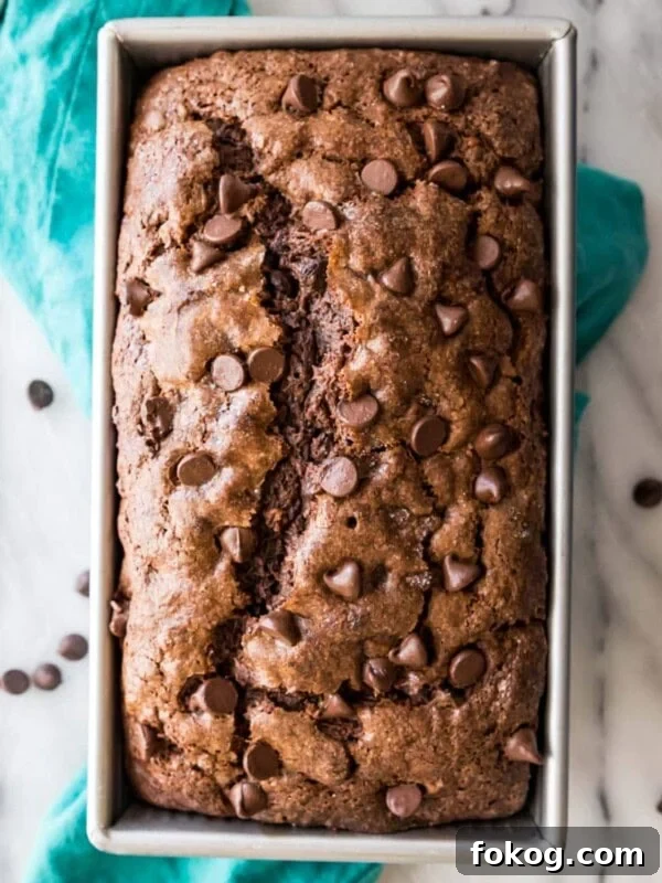 overhead view of a chocolate banana bread studded with chocolate chips in a metal loaf pan