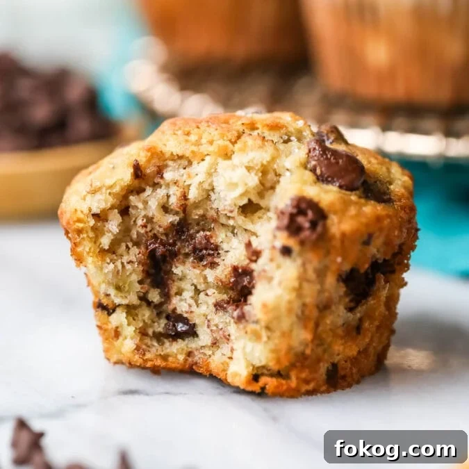 Chocolate chip banana muffin with one bite missing.