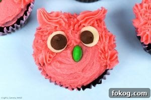 Adorable Owl Cupcake Recipe and Decorating Ideas 2 Owl Cupcakes are soft and fluffy chocolate cupcake decorated with a vanilla buttercream to look like gorgeous, googly eyed owls! Perfect for a birthday cake, party, get together or just for fun. #owlcupcakes #pinkowl