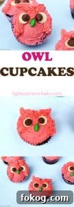 Adorable Owl Cupcake Recipe and Decorating Ideas 9 Owl Cupcakes are soft and fluffy chocolate cupcake decorated with a vanilla buttercream to look like gorgeous, googly eyed owls! Perfect for a birthday cake, party, get together or just for fun. #owlcupcakes #pinkowl