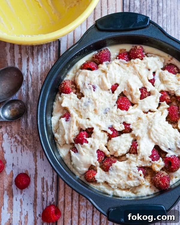 Raspberry Crumble Coffee Cake with Brown Sugar Streusel 5 Spoonfuls of cake batter are dropped evenly over the top of the raspberry layer.