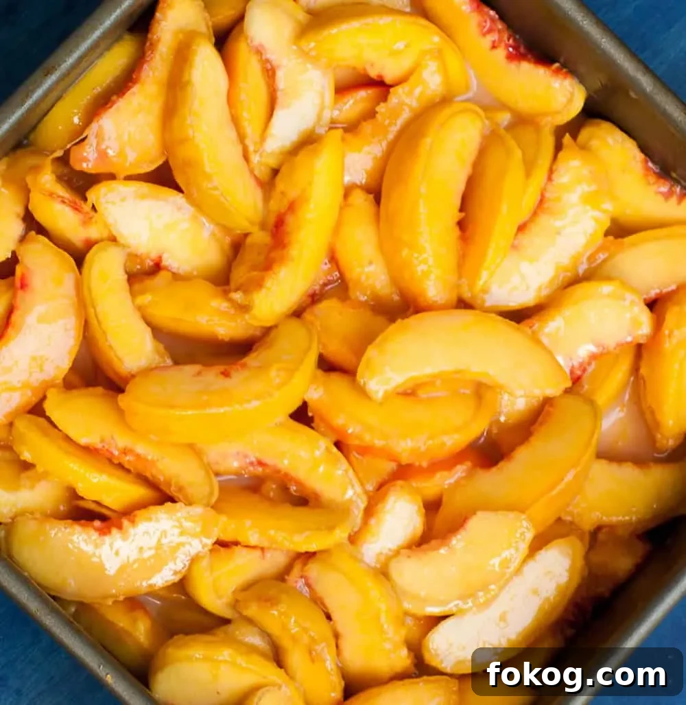 Georgia Peach Cobbler. Fresh peaches, lightly spiced and sweetened with two kinds of sugar, are baked under a delicious sweet biscuit topping!