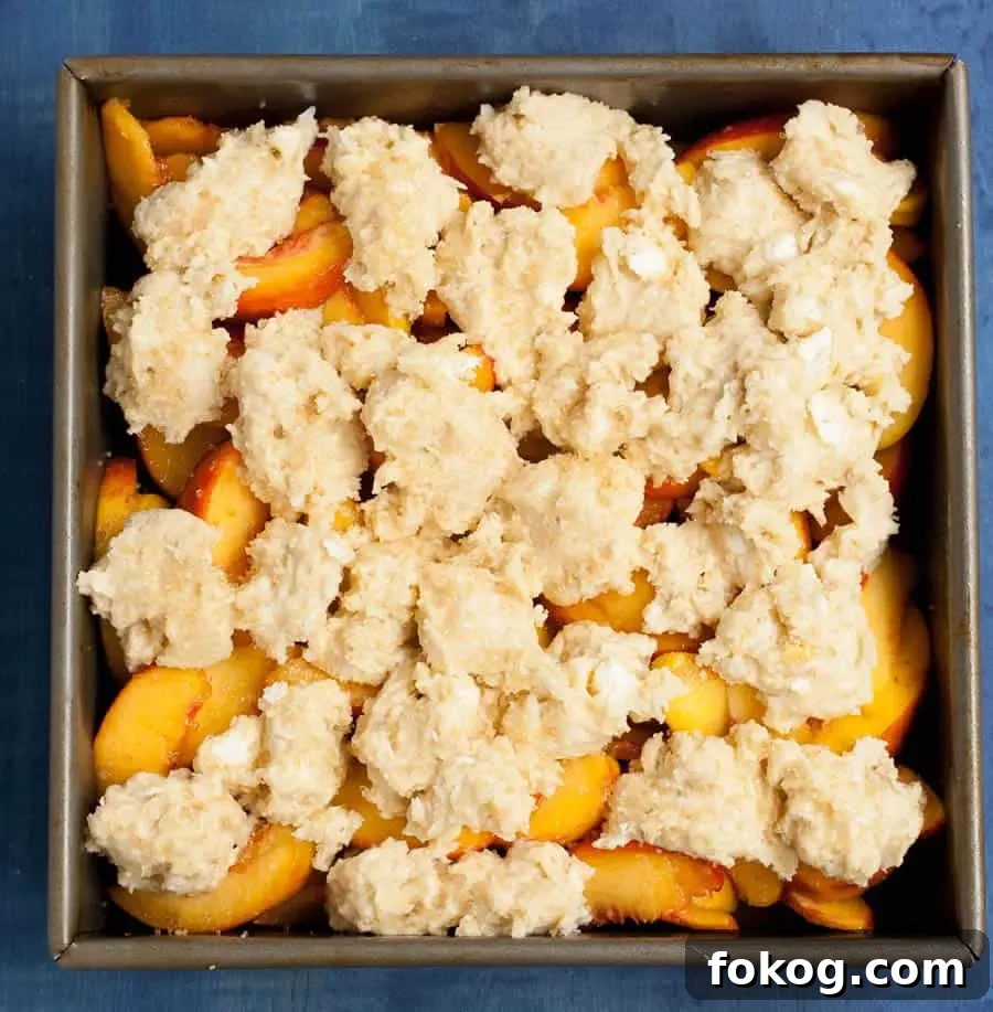 Georgia Peach Cobbler. Fresh peaches, lightly spiced and sweetened with two kinds of sugar, are baked under a delicious sweet biscuit topping!