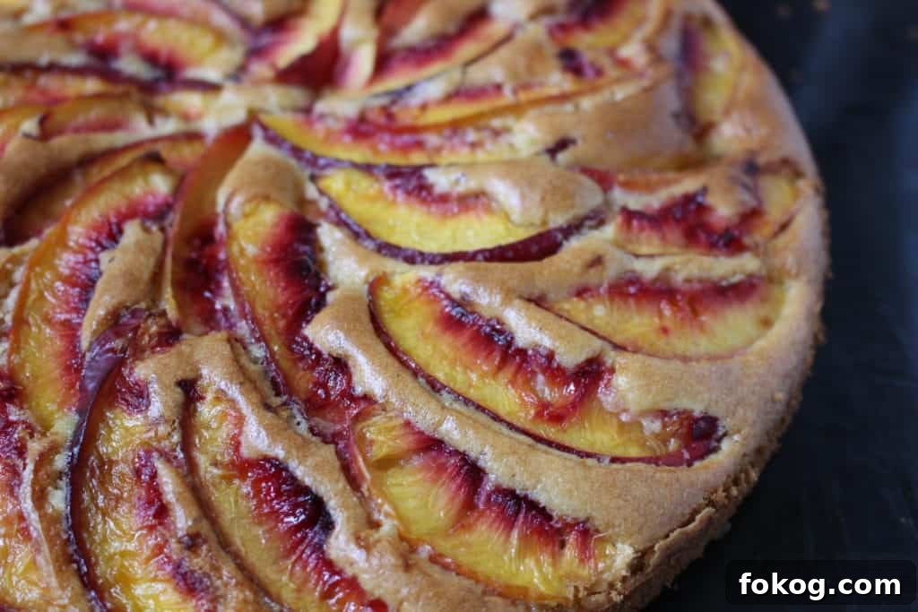 Close up on the peach slices baked over the cake.