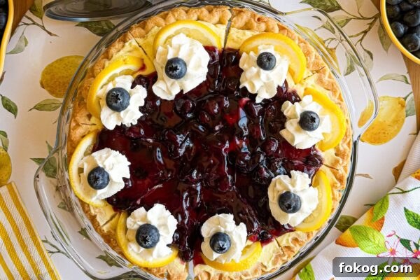 9 Refreshing No-Bake Summer Desserts to Beat the Heat 7 img 6003 6