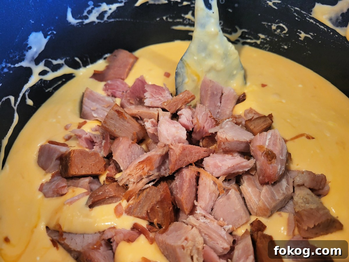 Creamy Smoked Ham Mac and Cheese 4 Shredded ham on top of melted cheese sauces for smoked ham mac and cheese