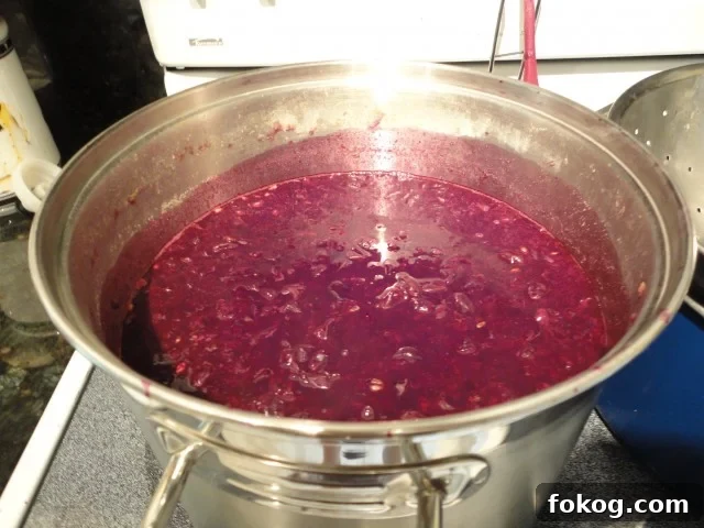 Mustang Grapes Boiled Down