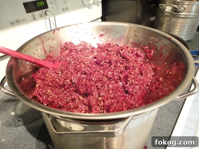 Mustang Grapes Boiled and with the Juice Being Separated