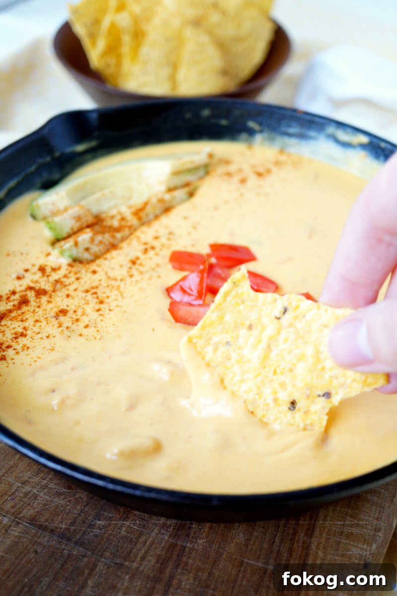 Traditional Yellow Queso Recipe with 6 Simple Ingredients 3 6-ingredient traditional yellow queso | The Baking Fairy