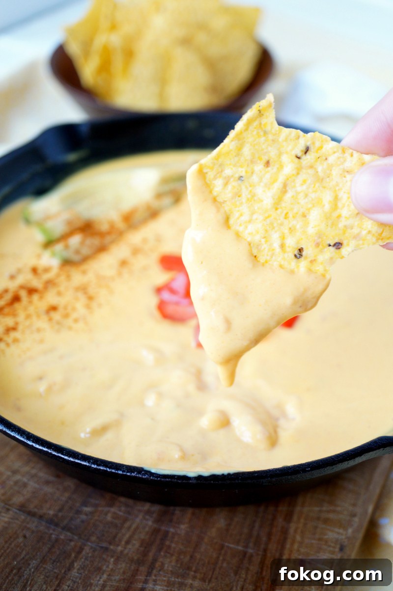 Traditional Yellow Queso Recipe with 6 Simple Ingredients 5 6-ingredient traditional yellow queso | The Baking Fairy
