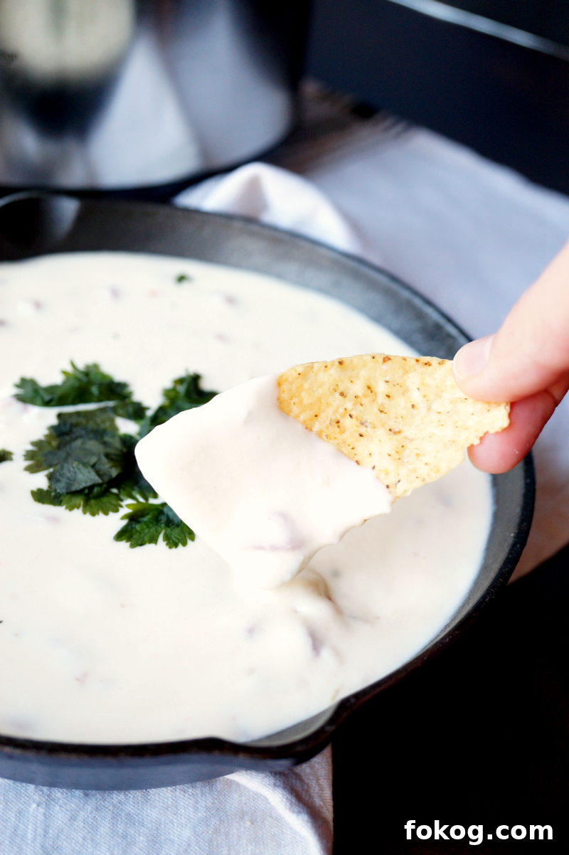 Traditional Yellow Queso Recipe with 6 Simple Ingredients 8 img 6354 8