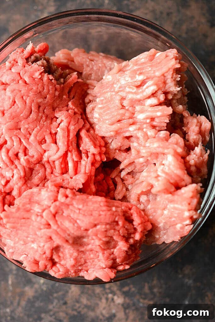 Bowl of Ground Beef - Slow Cooker Bolognese Recipe Bowl of Ground Beef - Slow Cooker Bolognese Recipe