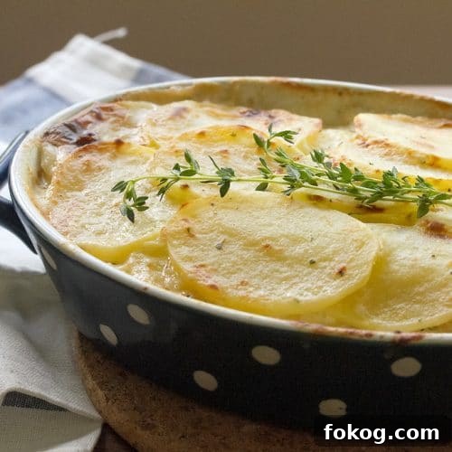 scalloped potatoes