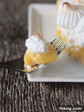 Lime Tart Slice Lime tart slice