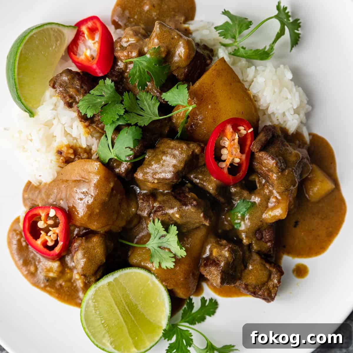 Creamy Coconut Beef Curry with Aromatic Spices 2 Japanese Beef Curry on a white plate
