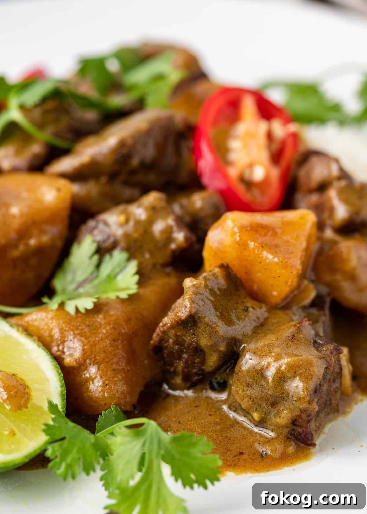 Creamy Coconut Beef Curry with Aromatic Spices 3 closeup of Japanese Beef Curry