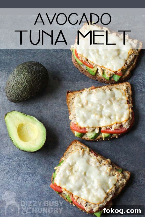 Overhead shot of three avocado tuna melts in a row with halved avocados on the side with a grey background.
