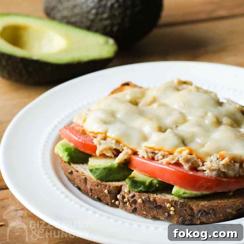 Close up shot of avocado tuna melt on a white plate with a halved avocado in the background