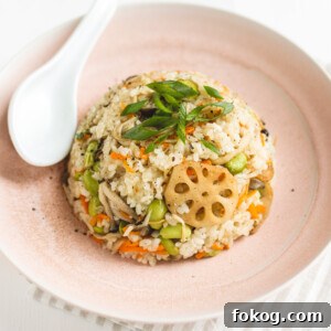 Obachan’s Mushroom Kamameshi: Authentic Japanese Mixed Rice Recipe 6 Mushroom Kamameshi Veggiekins Blog