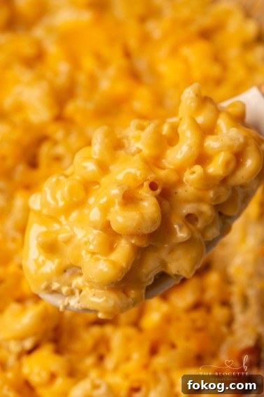 Baked mac and cheese side dish