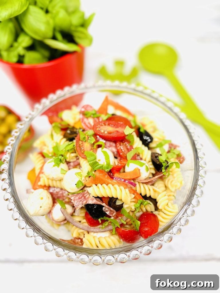Light Summer Dinner Ideas: Quick Recipes for Warm Evenings 6 easy italian pasta salad with red onions, mozzarella, black olives, baby plum tomatoes, chargrilled peppers and salami - family meal ideas