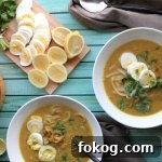 burmese chicken noodle soup