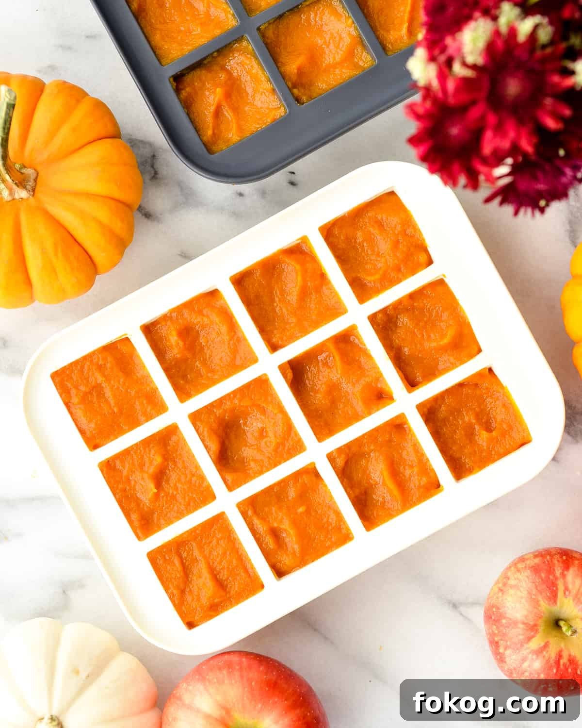Overhead view of silicone trays filled with Homemade Apple & Pumpkin Baby Food puree