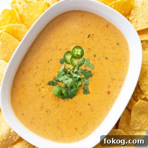 Arkansas Cheese Dip Recipe