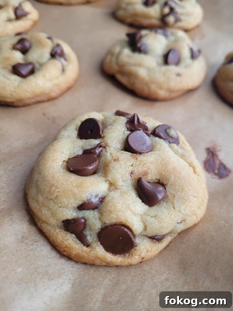 Crispy Edges, Chewy Centers: Ultimate Chocolate Chip Cookies 10 Freshly baked chocolate chunk cookies cooling on a wire rack