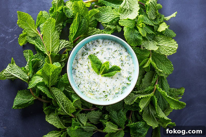 mint yoghurt