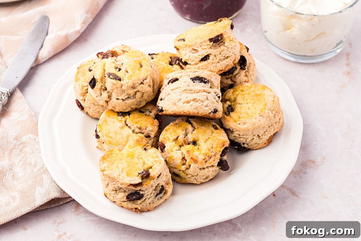 White plate of raisin scones. Light gray background.