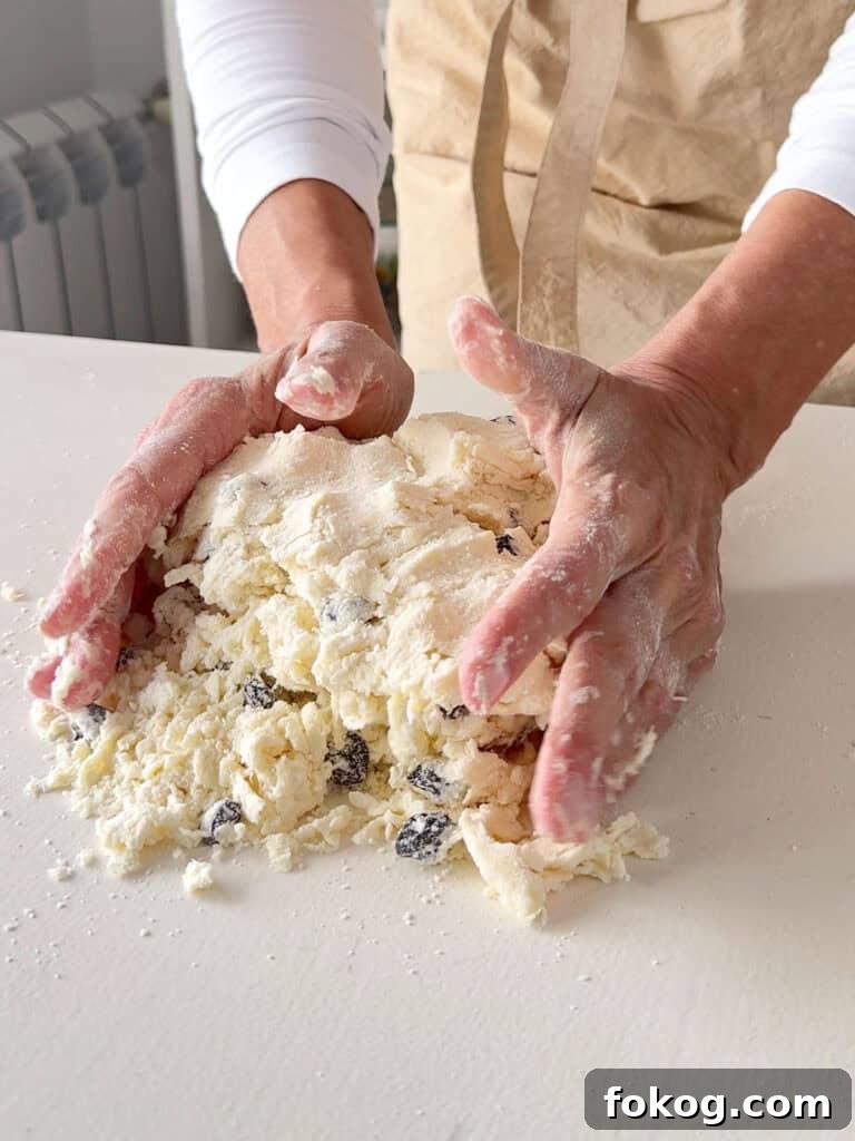 Hands gathering raisin scones dough on a white table.