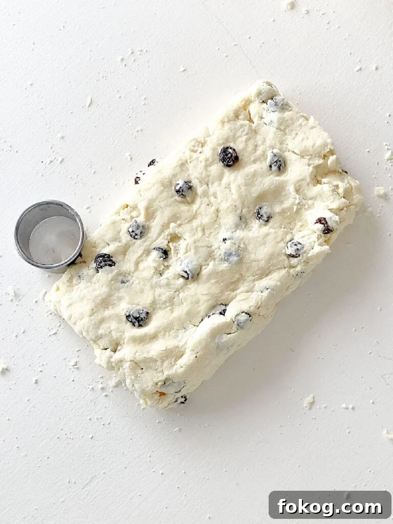 Rectangular piece of raisin scone dough with metal round cutter. White surface.
