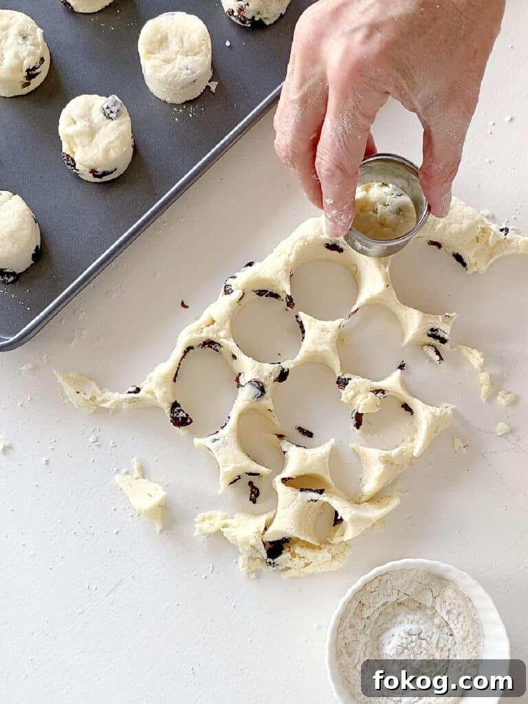 Cutting raisin scones on a white surface.