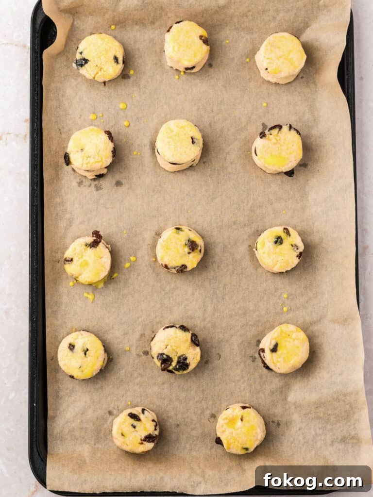 Unbaked raisin scones on beige parchment paper.