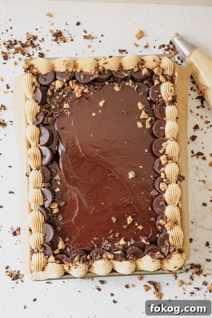 Chocolate peanut butter sheet cake