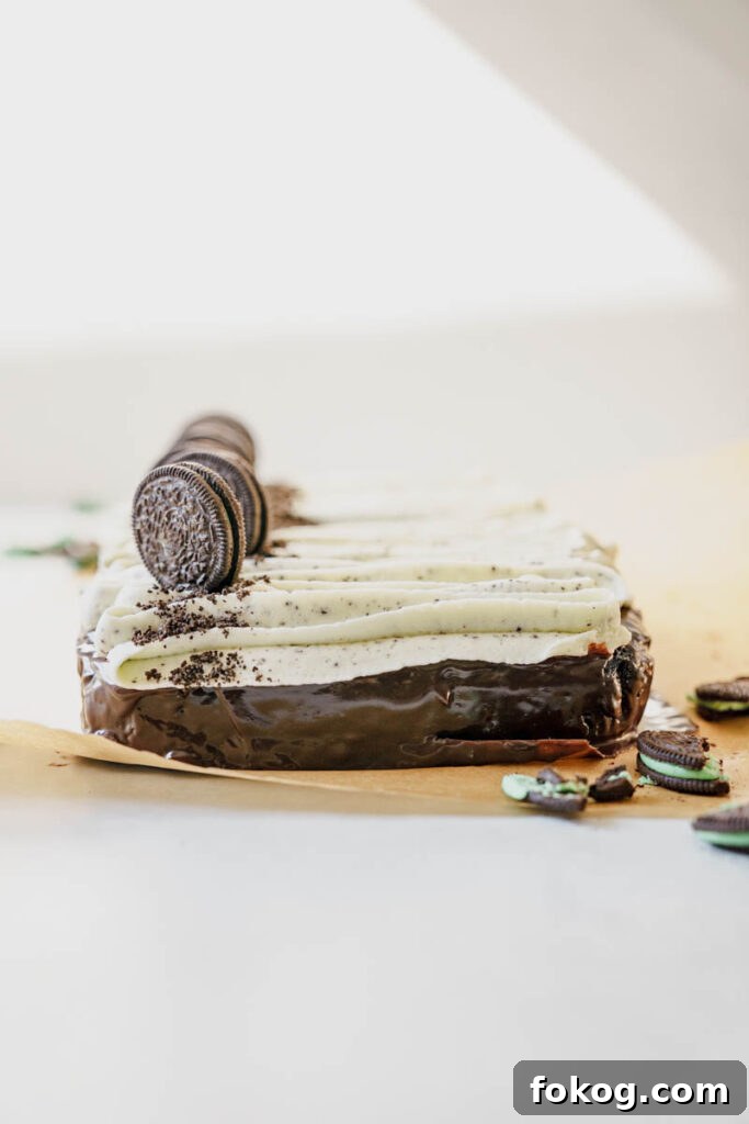 Grasshopper sheet cake